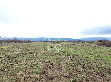 image-IfrOypbXvo-0