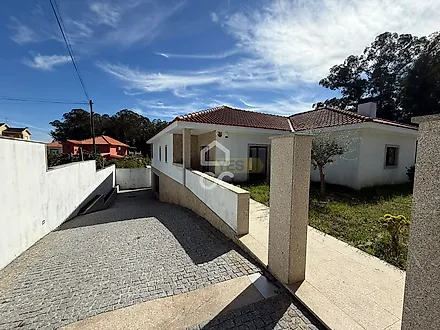image-LpfoAYP36aI-0