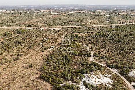image-1P552qPsaRi-0