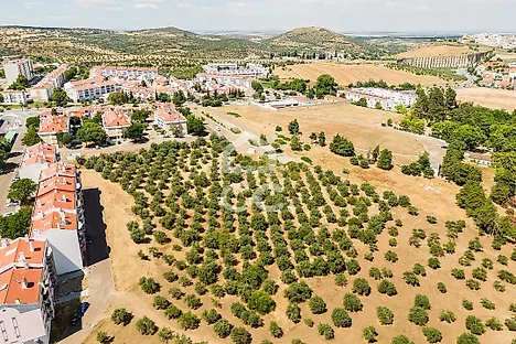 Land for sale in Elvas, Portugal — €167,600