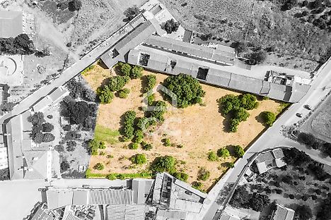 Terreno em Alvito