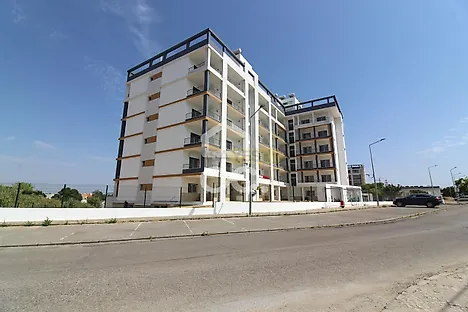 image-KsB4QAZJlau-0