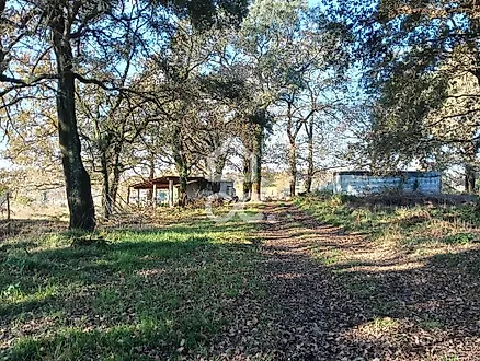 image-B8NeAR902LL-0