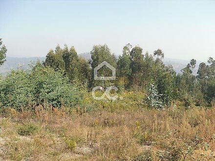 image-KZq5xPV2KbX-0