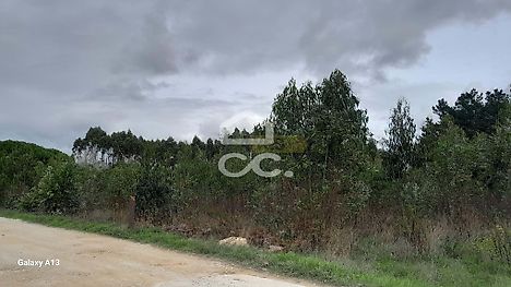 image-8F2sFAX1GLq-0