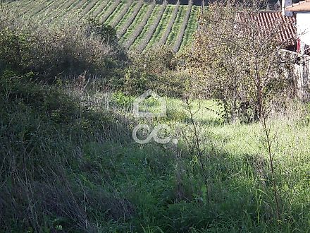 image-LwGFA6RpGIK-0