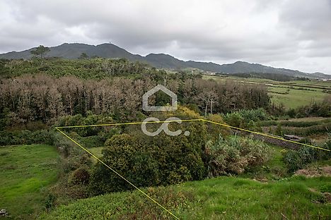 image-B4mpUiZiKMx-0