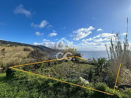 image-LxXkl6tm663-0