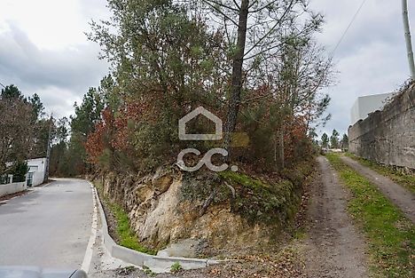 image-JVC5JHusJj-0