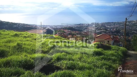 image-JN3wJRTpS5d-0