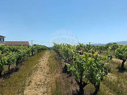 image-LFx4QyG8hOQ-0