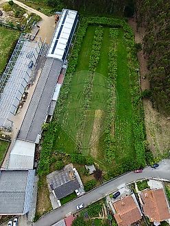 Land for sale in Vila Nova de Famalicão, Portugal — €290,000