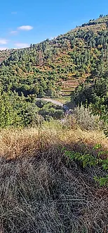 image-BskZDjpdOqF-0