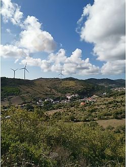image-JX14k6DtR9T-0
