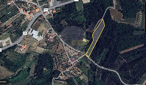 image-9JcKQyvWqPM-0