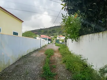 image-DMUSMlYlXtY-0