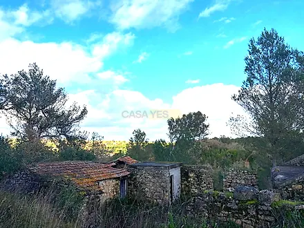 image-BzUd7G80xZx-0