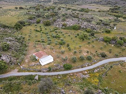 image-FqIUN9bqoqa-0