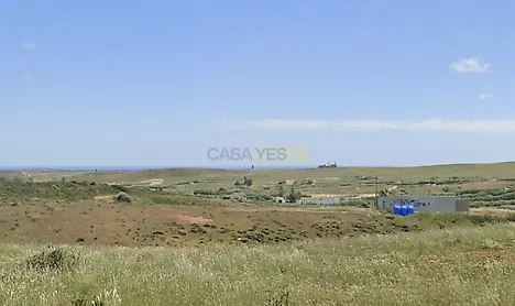 image-89m19Zqeocz-0