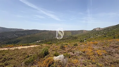 image-LF9xLMlRy5e-0