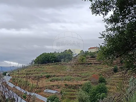 image-2wj7MT6x8Ym-0