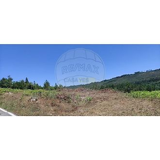 image-2TZDEGddSJU-0