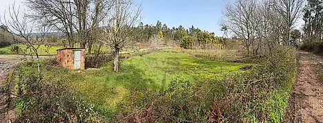 image-7gX7KqGnI6a-0