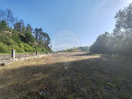 image-AEn9k4PsmZ0-0