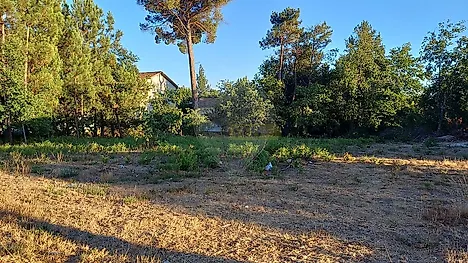 image-AsEtf8mDHQD-0