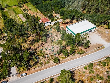 image-CaPpUrRGtQp-0