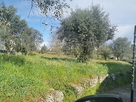image-E95i15uCJrT-0