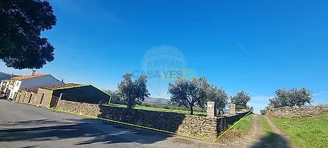 image-F0FXeLYWOC3-0
