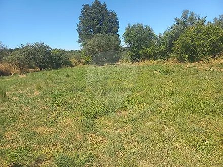 image-IPIKefz82ko-0