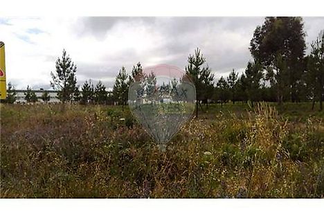 image-IdhgEupf8nZ-0