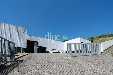 image-AAf14mfzd6N-0