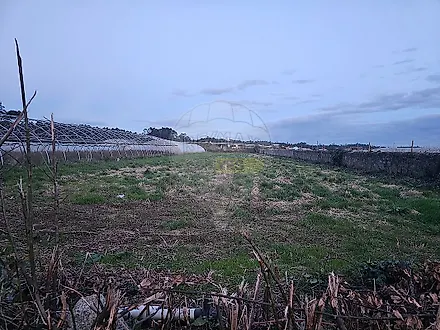image-GVd4q2sROdY-0
