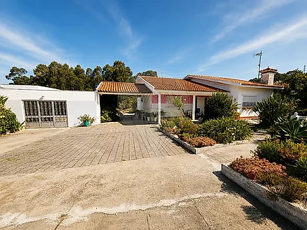 image-Bdm7Tlw4bzh-0