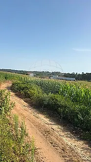 image-G3hfQOzlJUv-0
