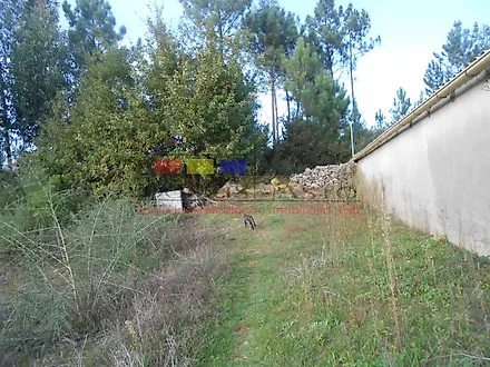 image-1qp4AtIWyyK-0