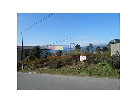 image-A8RQXcJntyU-0