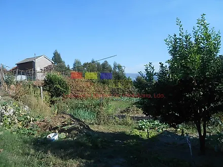 image-E5dE9Tu3R3A-0
