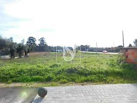 image-KuKxNg4MEck-0