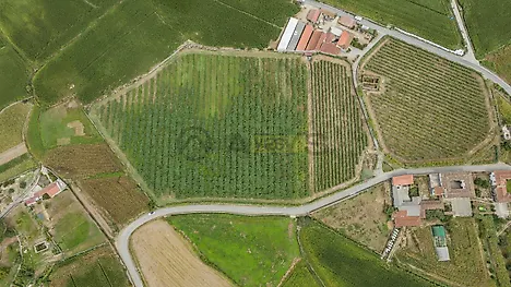 Land for sale in Barcelos, Portugal — €550,000