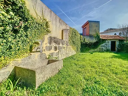 image-9zgeJHJZxCj-0