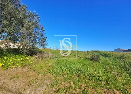 image-4hoxTtxX87i-0