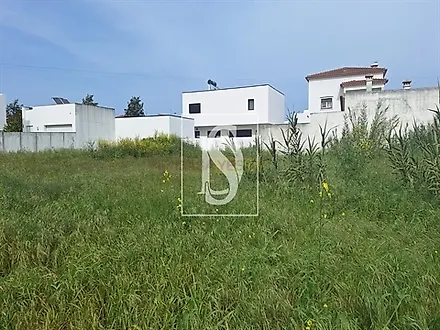 image-1fxBUV9LjZK-0