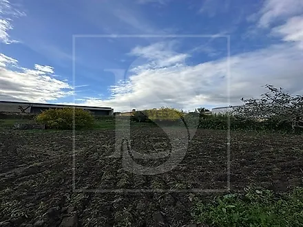image-FeQwTHGGsTr-0