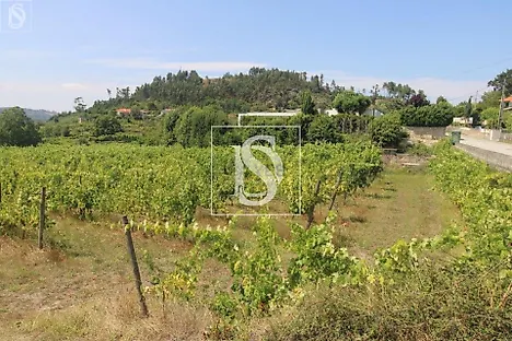 Land for sale in Amarante, Portugal — €85,000