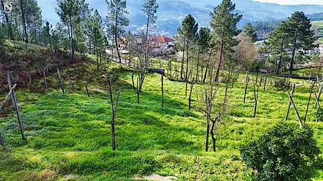 Terreno em Amarante