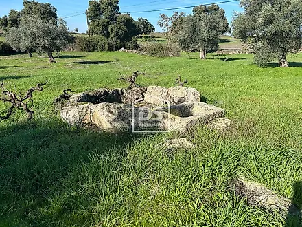 Terreno em Castelo Branco